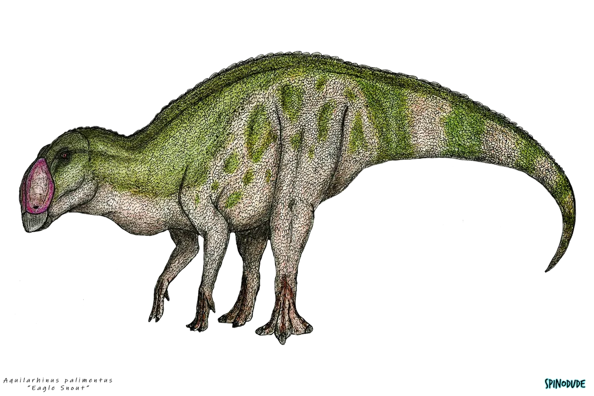 Ilustración paleontológica de Aquilarhinus